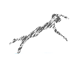 Natação